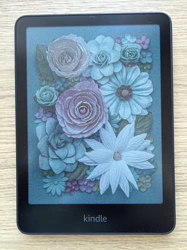 Amazon kindle colorsoft - kindle,
